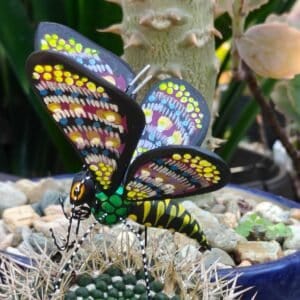 Butterflie Figurine Statue Oaxaca Mexican Folk Art Alebrije Sculpture, Wooden As Mexican Decoration, Made Of Wood And Carved By Hand
