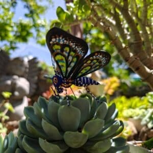 Butterflie Figurine Statue Oaxaca Mexican Folk Art Alebrije Sculpture, Wooden As Mexican Decoration, Made Of Wood And Carved By Hand