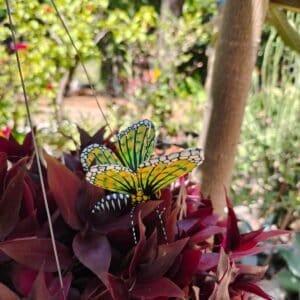 Butterflie Figurine Statue Oaxaca Mexican Folk Art Alebrije Sculpture, Wooden As Mexican Decoration, Made Of Wood And Carved By Hand