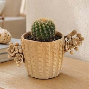 Cactus Planter Made Of Clay From Santa María Atzompa Oaxaca With Floral Details, Handmade By Mexican Artisans